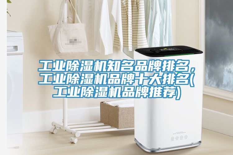 工业小黄片直播视频知名品牌排名，工业小黄片直播视频品牌十大排名(工业小黄片直播视频品牌推荐)