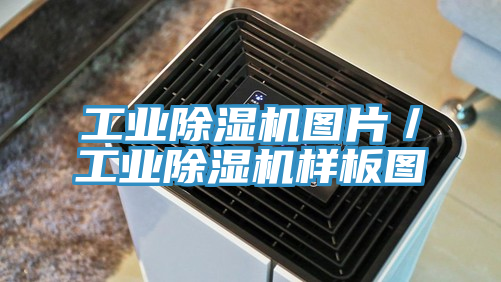 工业小黄片直播视频图片／工业小黄片直播视频样板图
