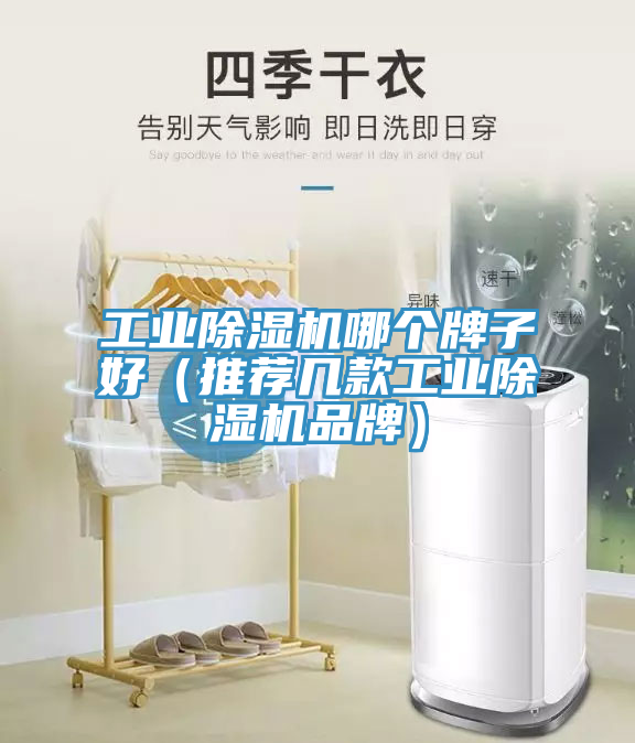 工业小黄片直播视频哪个牌子好（推荐几款工业小黄片直播视频品牌）