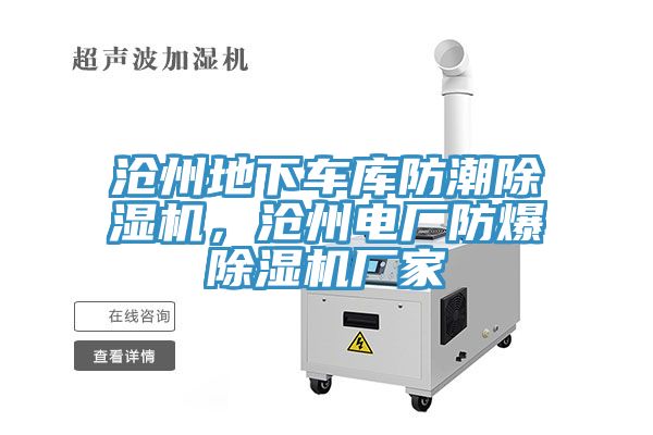 沧州地下车库防潮小黄片直播视频，沧州电厂防爆小黄片直播视频厂家