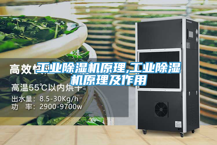 工业小黄片直播视频原理,工业小黄片直播视频原理及作用