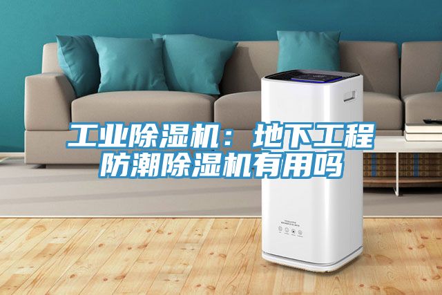 工业小黄片直播视频：地下工程防潮小黄片直播视频有用吗