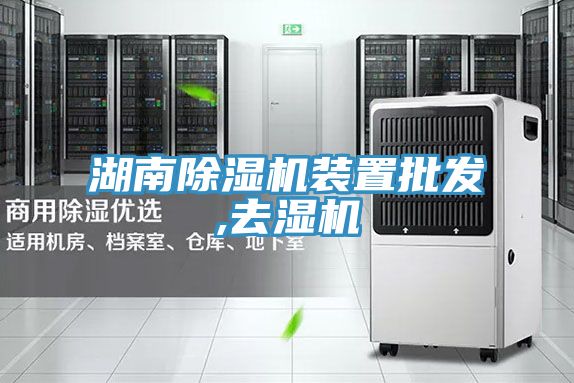 湖南小黄片直播视频装置批发,去湿机