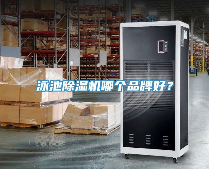 泳池小黄片直播视频哪个品牌好？