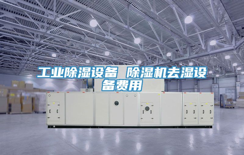 工业除湿设备 小黄片直播视频去湿设备费用