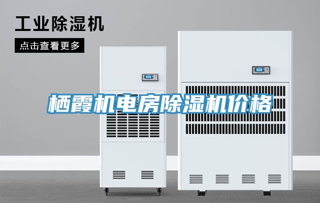 栖霞机电房小黄片直播视频价格