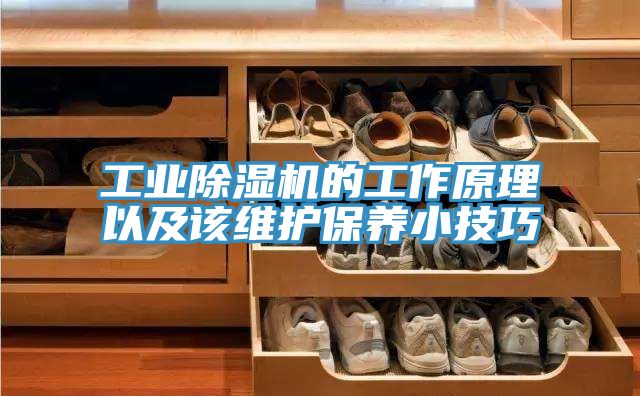 工业小黄片直播视频的工作原理以及该维护保养小技巧