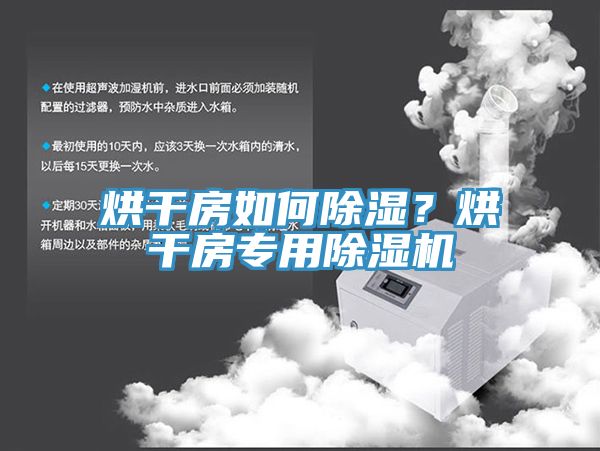烘干房如何除湿？烘干房专用小黄片直播视频