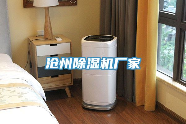 沧州小黄片直播视频厂家