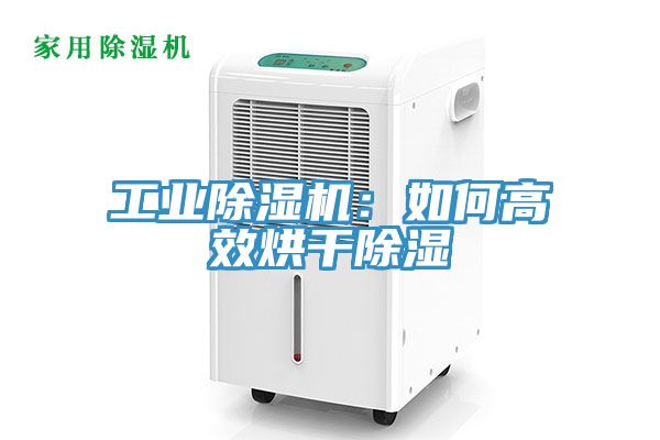 工业小黄片直播视频：如何高效烘干除湿