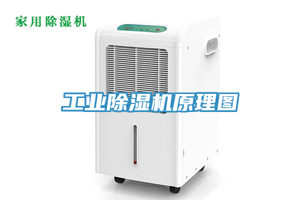工业小黄片直播视频原理图