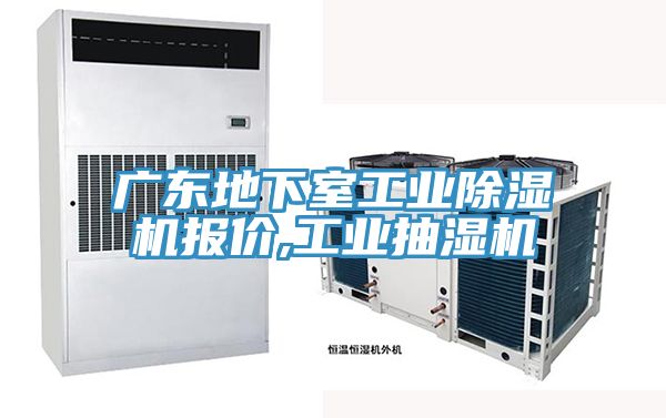 广东地下室工业小黄片直播视频报价,工业抽湿机