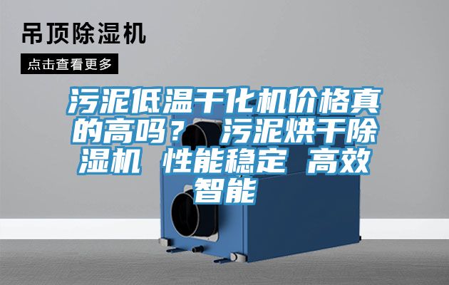 污泥低温干化机价格真的高吗？ 污泥烘干小黄片直播视频 性能稳定 高效智能