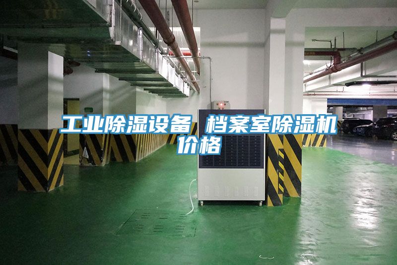 工业除湿设备 档案室小黄片直播视频价格