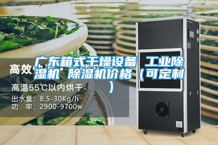 广东箱式干燥设备 工业小黄片直播视频 小黄片直播视频价格（可定制）