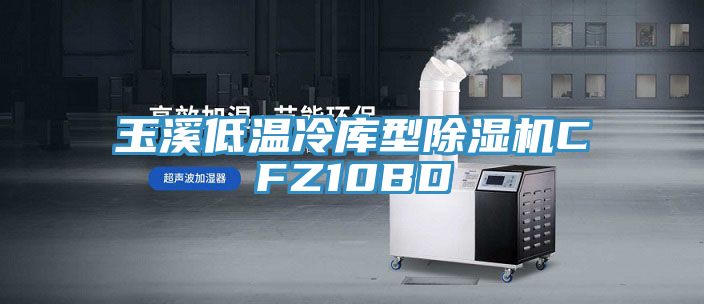 玉溪低温冷库型小黄片直播视频CFZ10BD