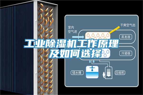 工业小黄片直播视频工作原理 及如何选择