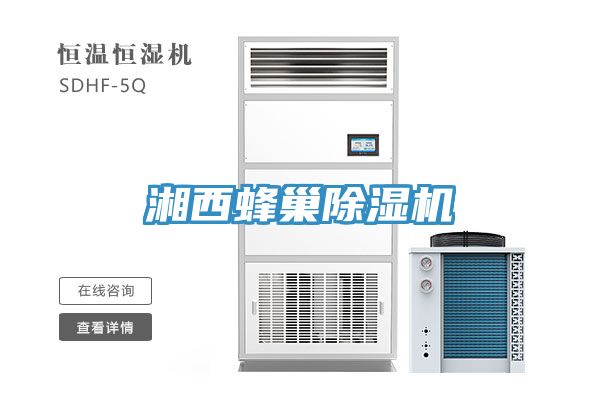 湘西蜂巢小黄片直播视频