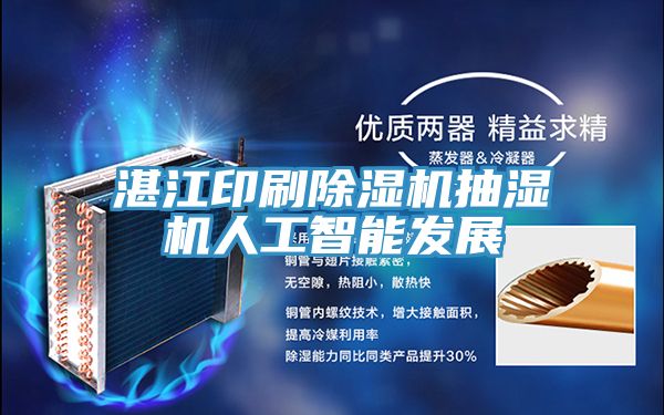 湛江印刷小黄片直播视频抽湿机人工智能发展