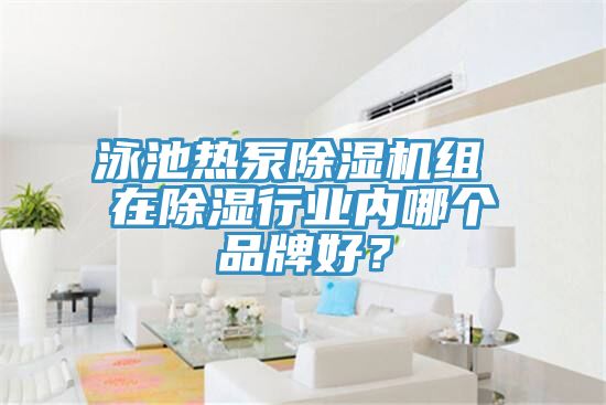 泳池热泵小黄片直播视频组 在除湿行业内哪个品牌好？