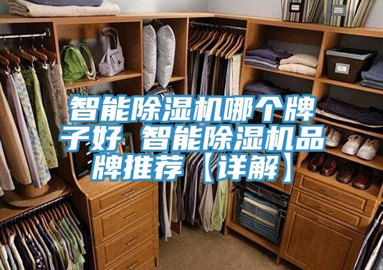 智能小黄片直播视频哪个牌子好 智能小黄片直播视频品牌推荐【详解】