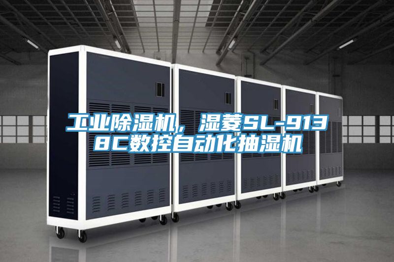 工业小黄片直播视频，湿菱SL-9138C数控自动化抽湿机