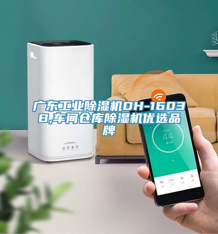 广东工业小黄片直播视频DH-1603B,车间仓库小黄片直播视频优选品牌