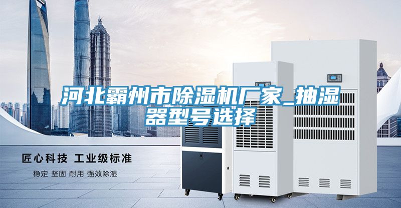 河北霸州市小黄片直播视频厂家_抽湿器型号选择