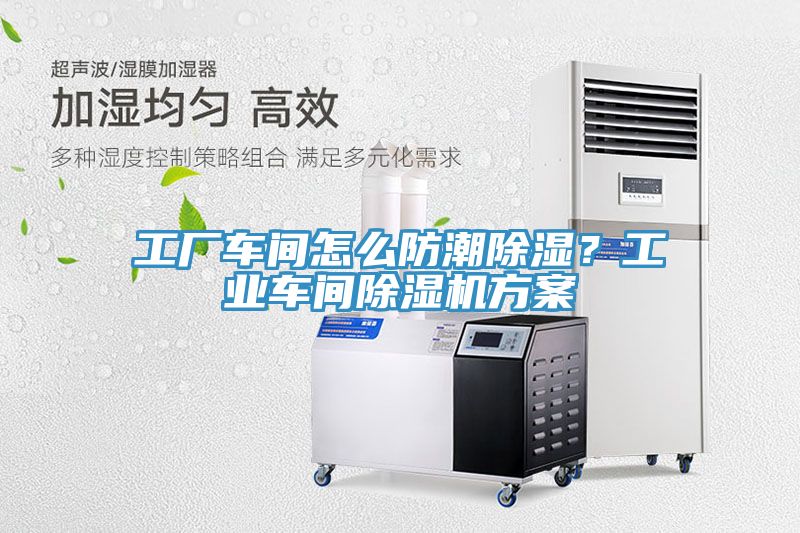 工厂车间怎么防潮除湿？工业车间小黄片直播视频方案