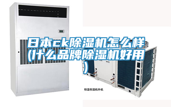 日本ck小黄片直播视频怎么样(什么品牌小黄片直播视频好用)