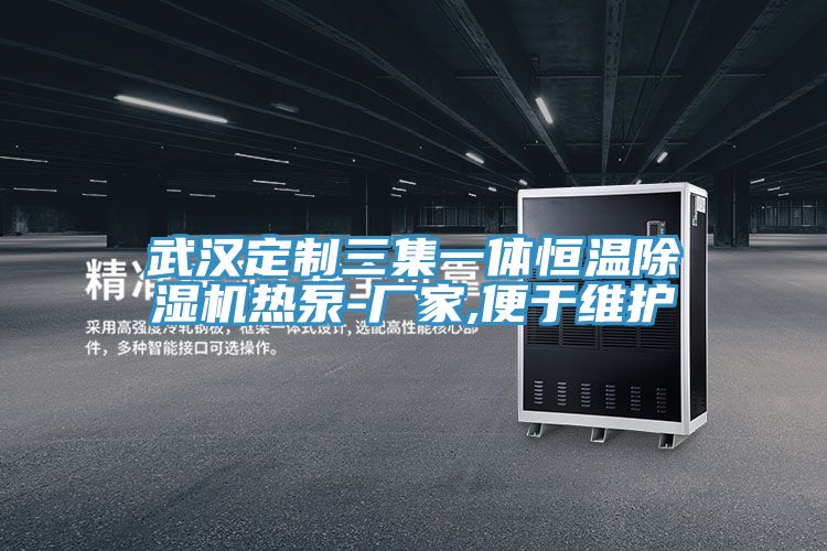 武汉定制三集一体恒温小黄片直播视频热泵-厂家,便于维护