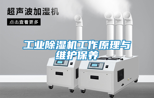 工业小黄片直播视频工作原理与维护保养