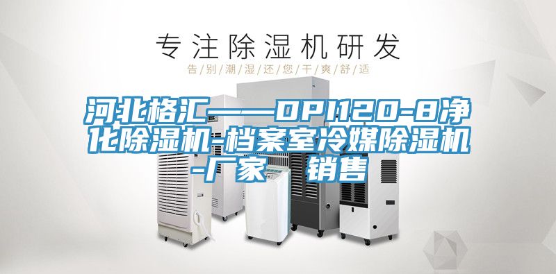 河北格汇——DPI120-8净化小黄片直播视频-档案室冷媒小黄片直播视频-厂家  销售