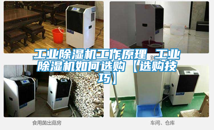 工业小黄片直播视频工作原理 工业小黄片直播视频如何选购【选购技巧】