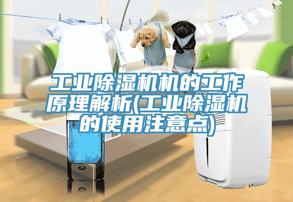 工业小黄片直播视频机的工作原理解析(工业小黄片直播视频的使用注意点)