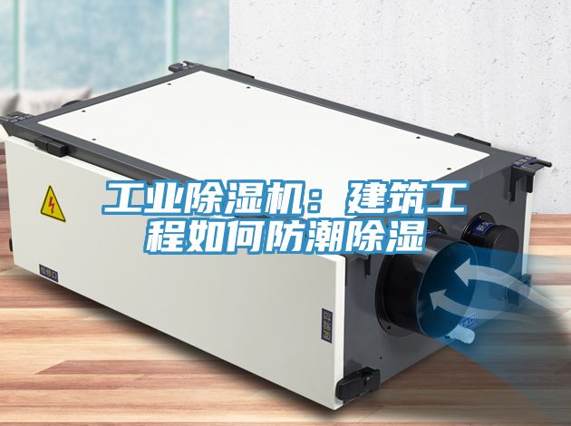 工业小黄片直播视频：建筑工程如何防潮除湿