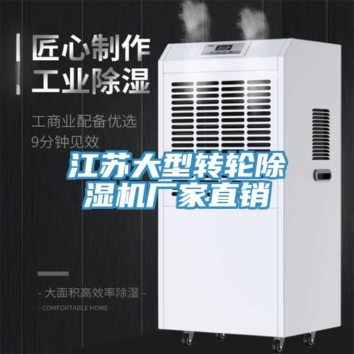 江苏大型转轮小黄片直播视频厂家直销