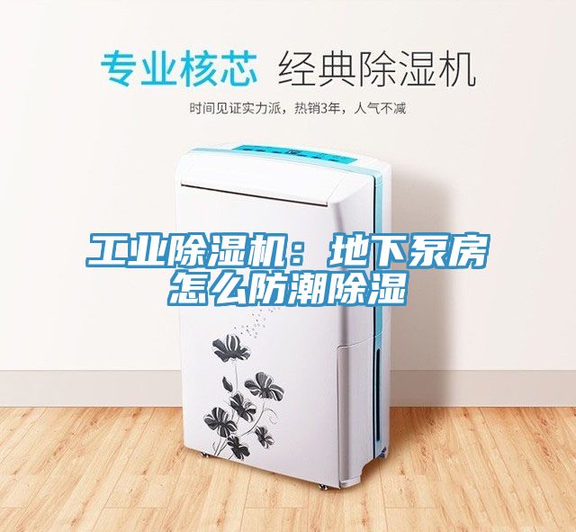 工业小黄片直播视频：地下泵房怎么防潮除湿