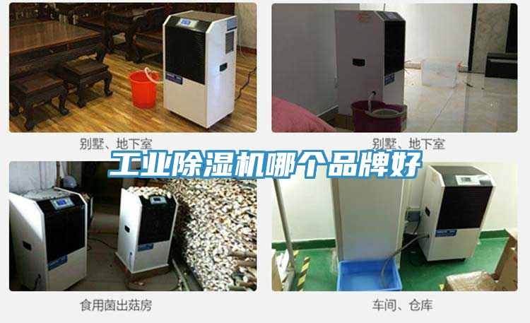 工业小黄片直播视频哪个品牌好