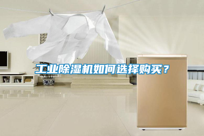 工业小黄片直播视频如何选择购买？