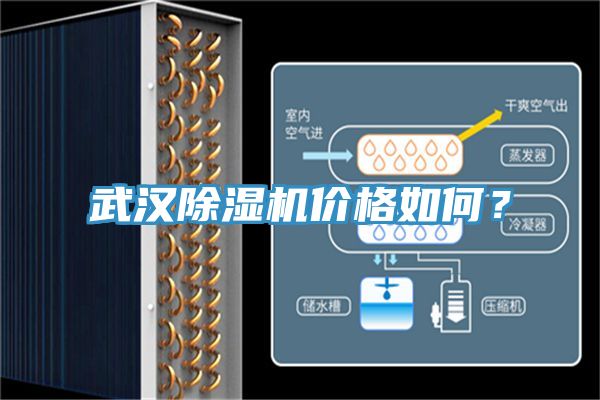 武汉小黄片直播视频价格如何？