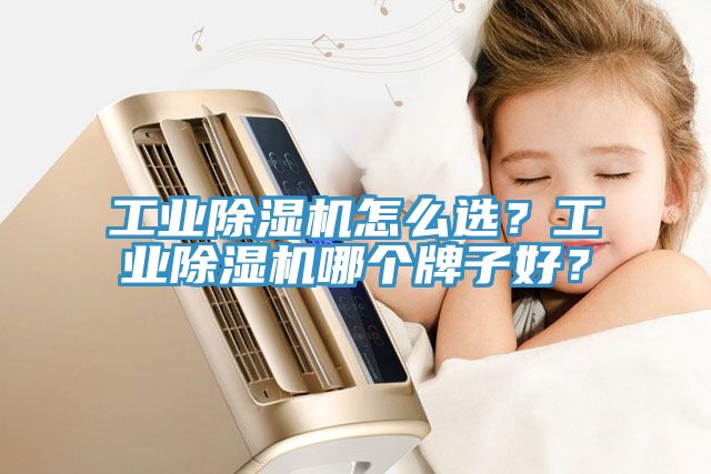 工业小黄片直播视频怎么选？工业小黄片直播视频哪个牌子好？