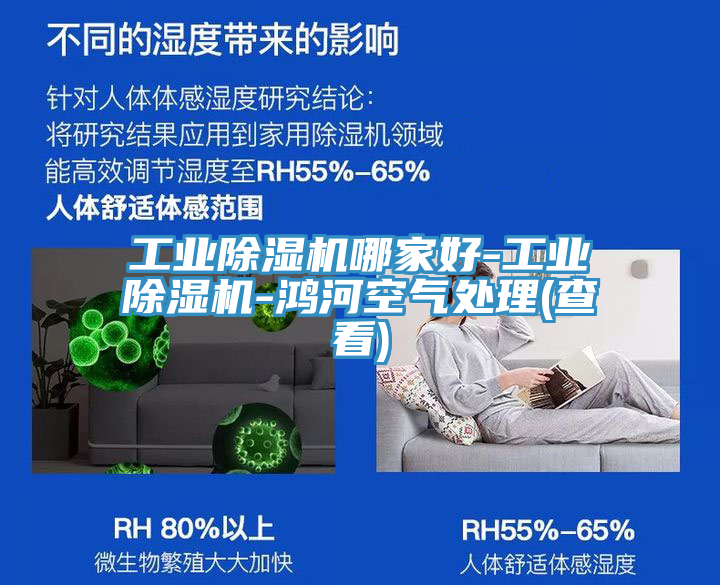 工业小黄片直播视频哪家好-工业小黄片直播视频-鸿河空气处理(查看)