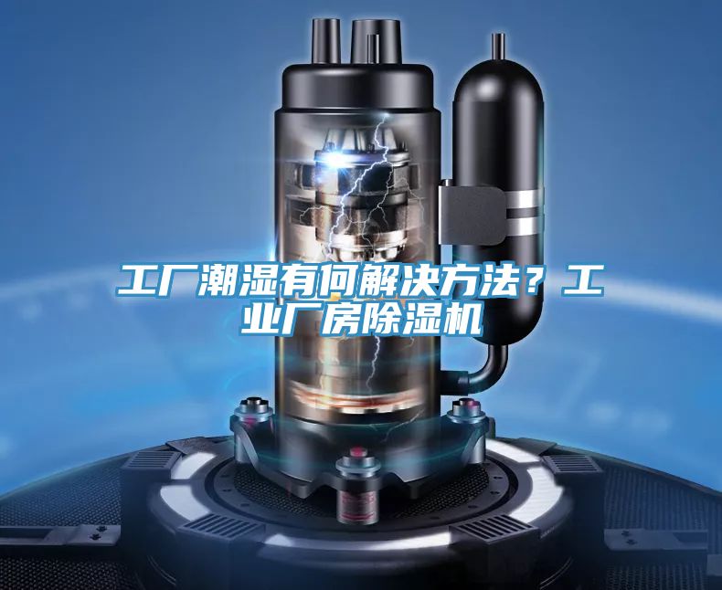 工厂潮湿有何解决方法？工业厂房小黄片直播视频