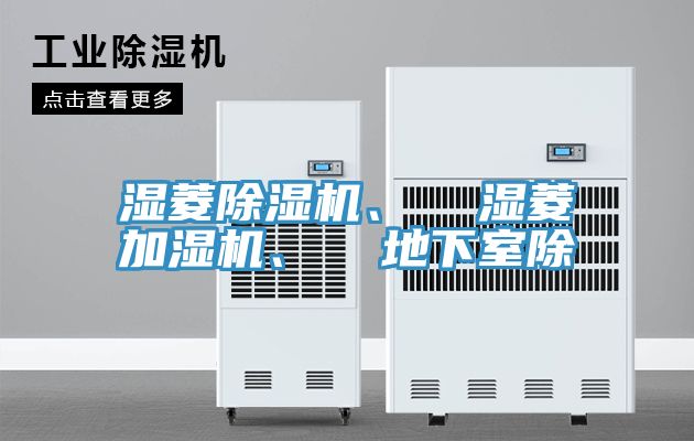 湿菱小黄片直播视频、  湿菱加湿机、  地下室除
