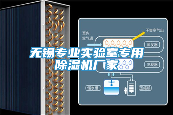 无锡专业实验室专用小黄片直播视频厂家