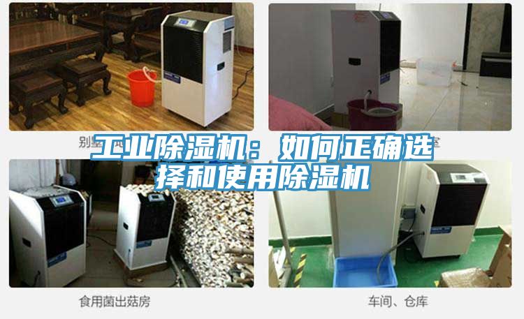 工业小黄片直播视频：如何正确选择和使用小黄片直播视频