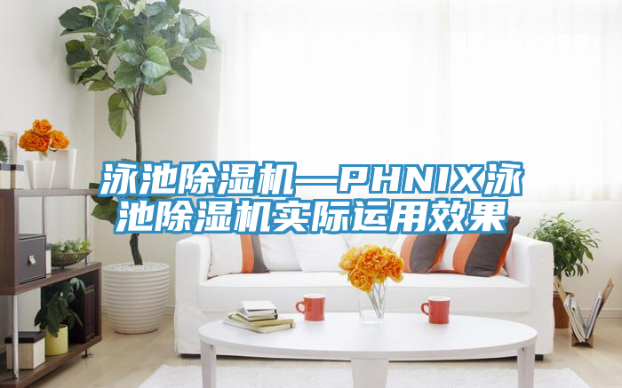 泳池小黄片直播视频—PHNIX泳池小黄片直播视频实际运用效果