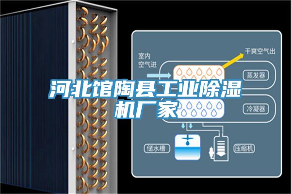 河北馆陶县工业小黄片直播视频厂家