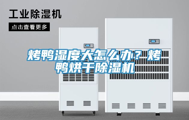 烤鸭湿度大怎么办？烤鸭烘干小黄片直播视频
